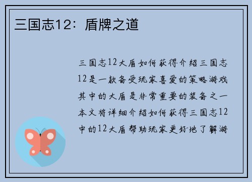 三国志12：盾牌之道